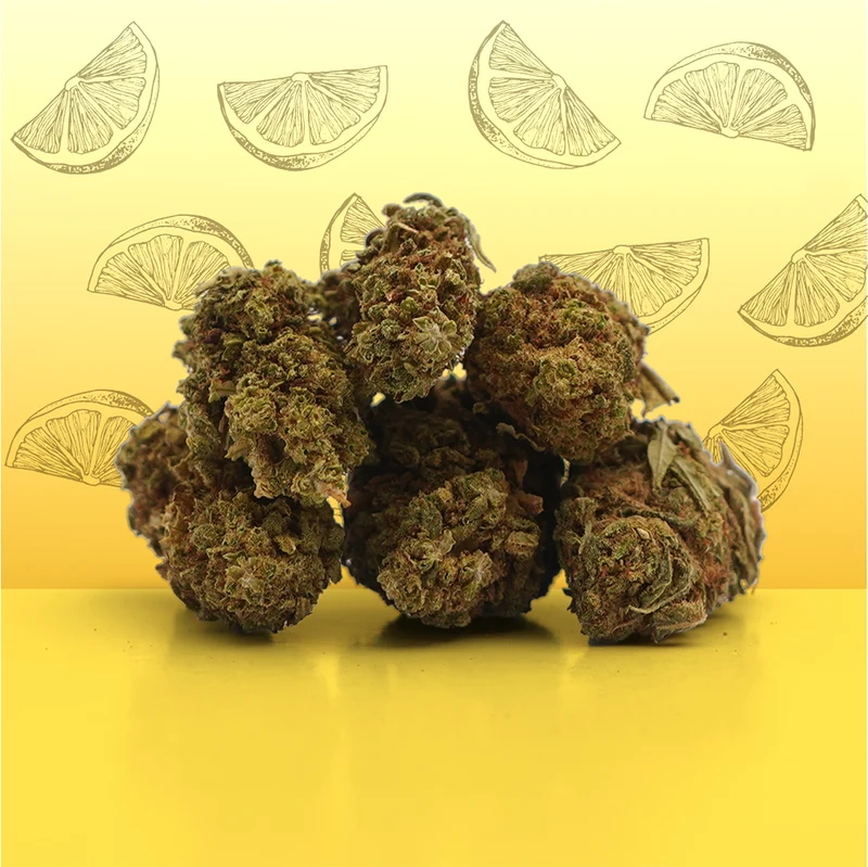 CBD Lemon Small Buds 🍋