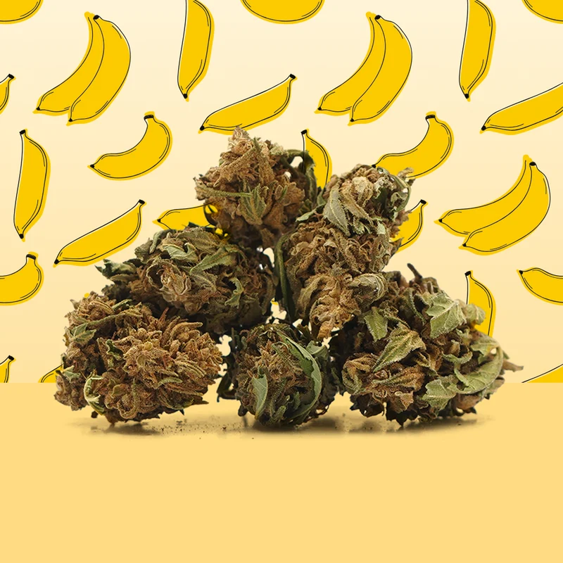 Plátano CBG Small Buds 🍌