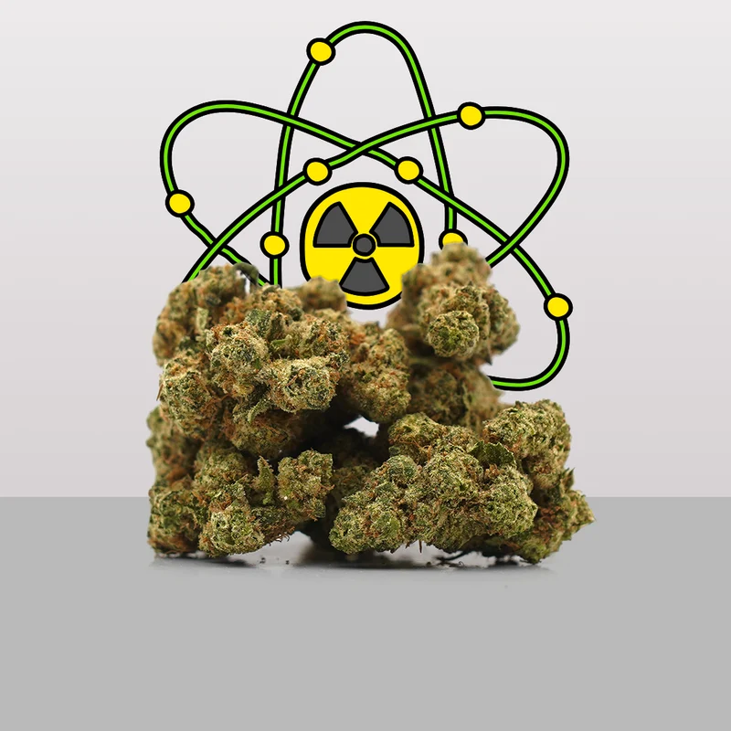 Plutonio ☢️ [Hydroponics]