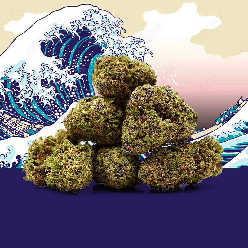 Blue Zushi CBD 🍣 [Greenhouse]