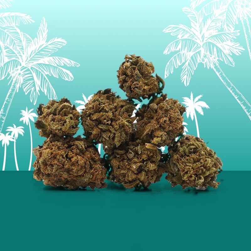 Hawaiian CBD Small Buds 🌴
