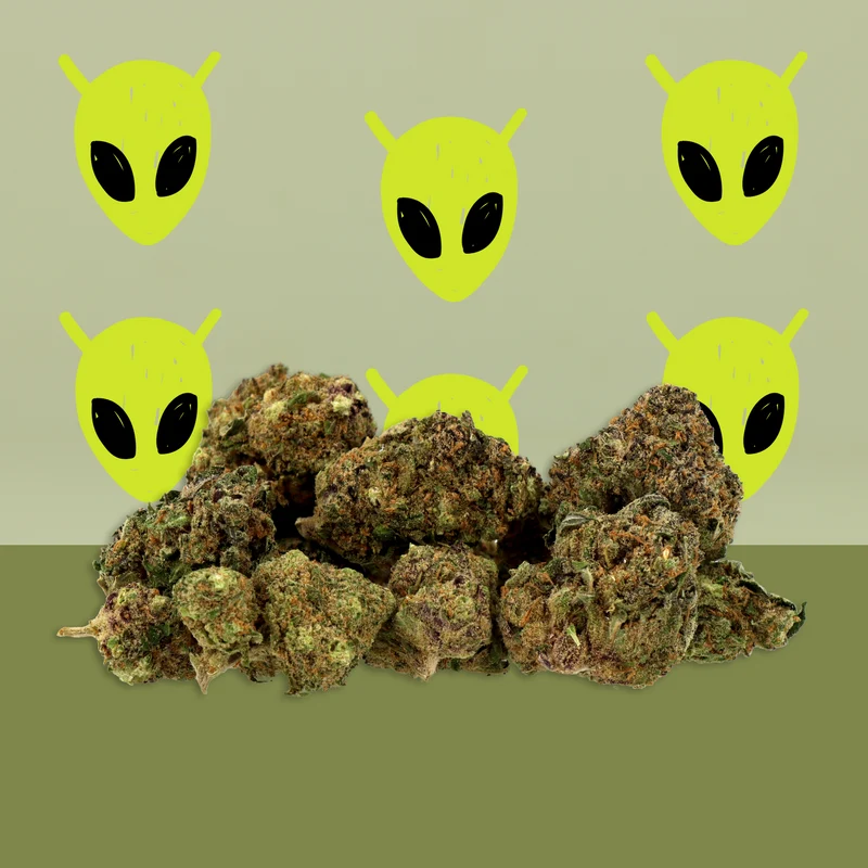 Alien Kush CBD 🧟‍♂️ [Hidroponía]