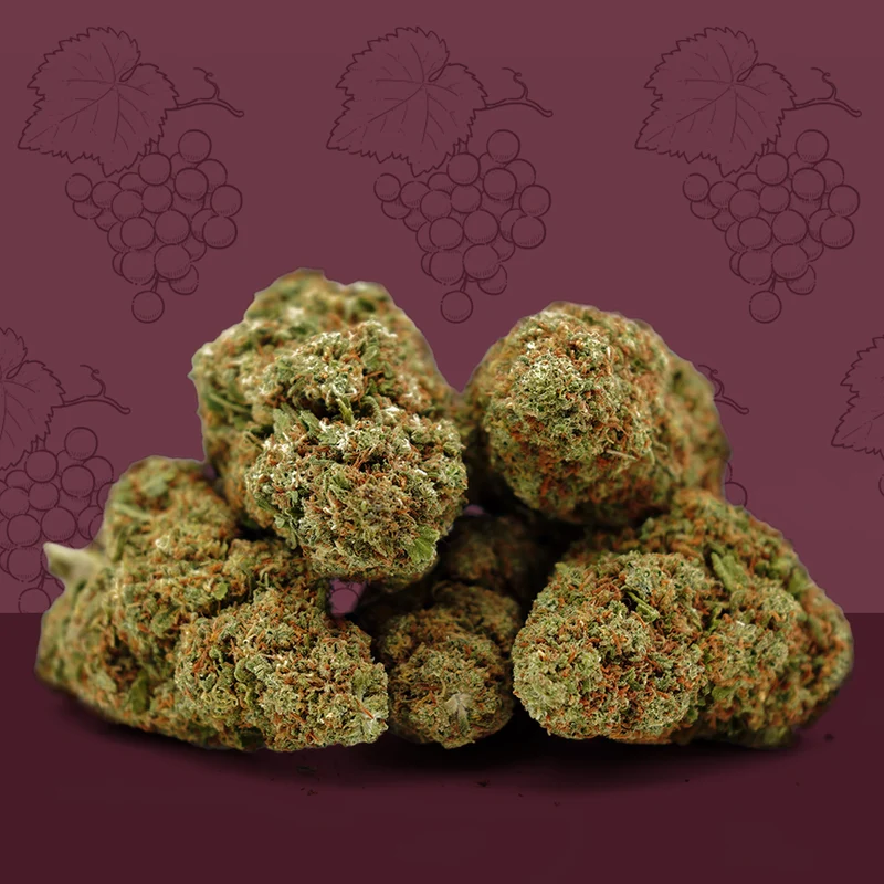 Grape Cali CBD 🍇 [Indoor]