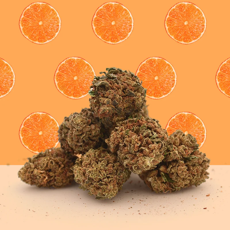 Orange Bud CBD Small Buds 🍊