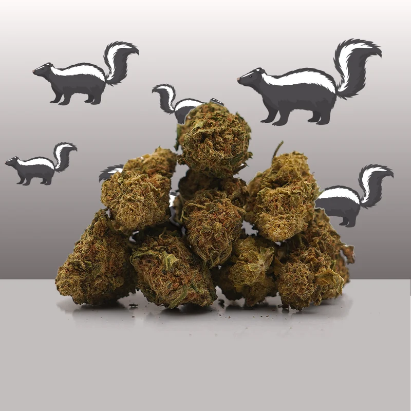 Super Skunk CBD Small Buds 🦨
