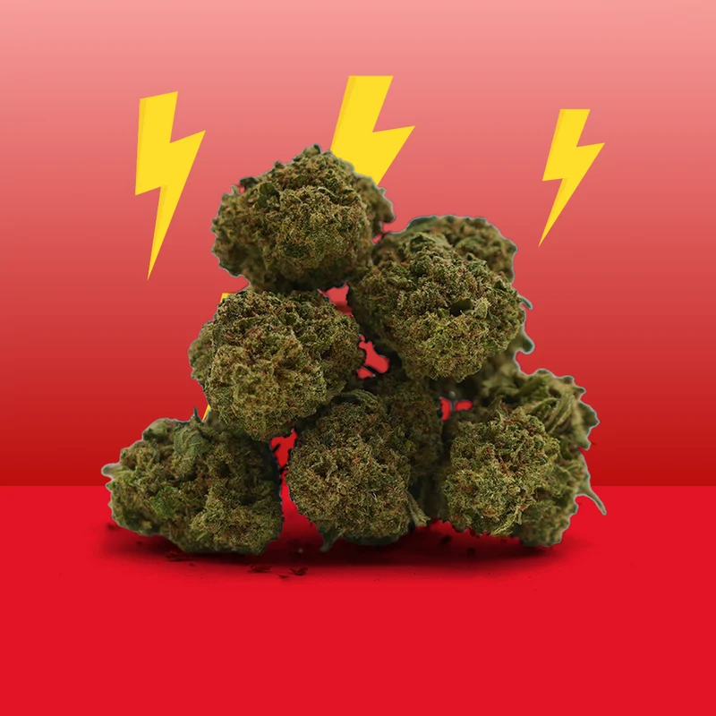 Cannatonic CBD ⚡️ [Greenhouse]