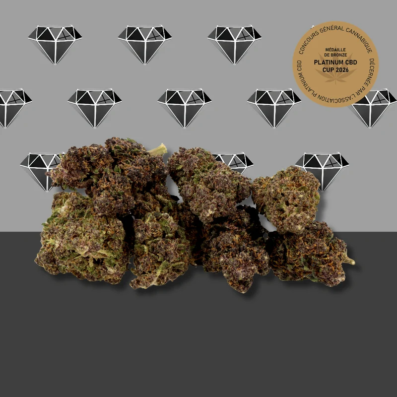 Black Diamond CBD 💎 [Greenhouse]