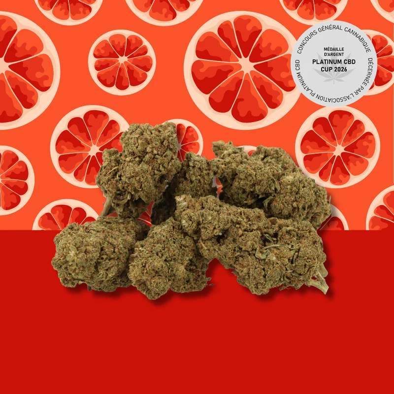 Grapefruit CBD 🟠 [Greenhouse]