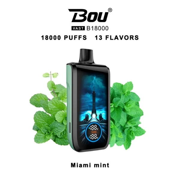 Bou VAST B1800 Miami Mints 0% Nic.