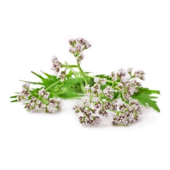 Valeriana BIO 15g