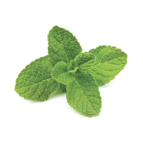 Mint 10ml (Aroma) (Atmos Lab)
