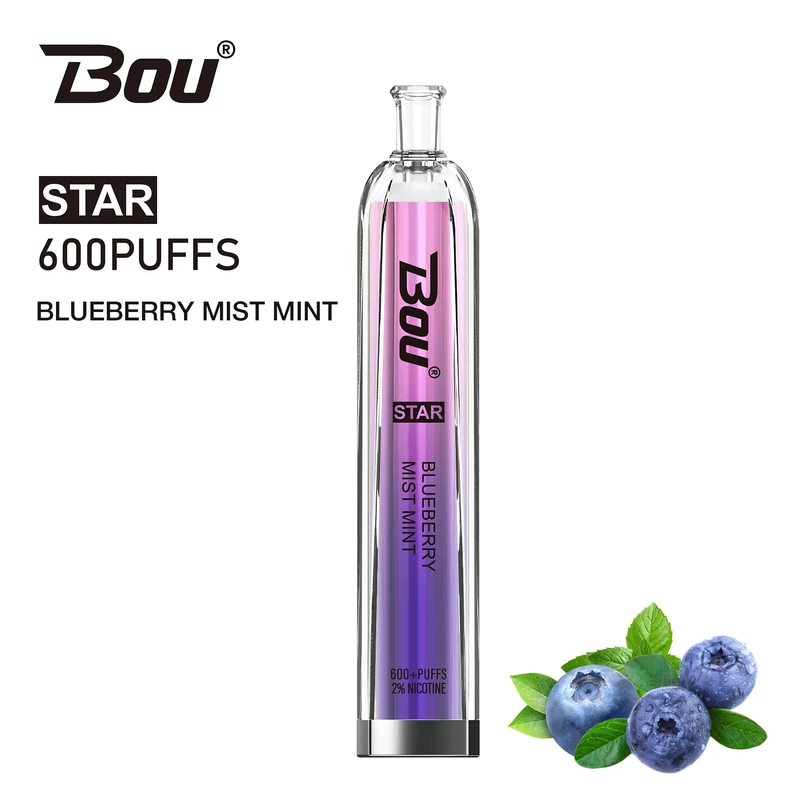 Vaper Desechable Bou Star 600 Puffs Blueberry Mist Mint