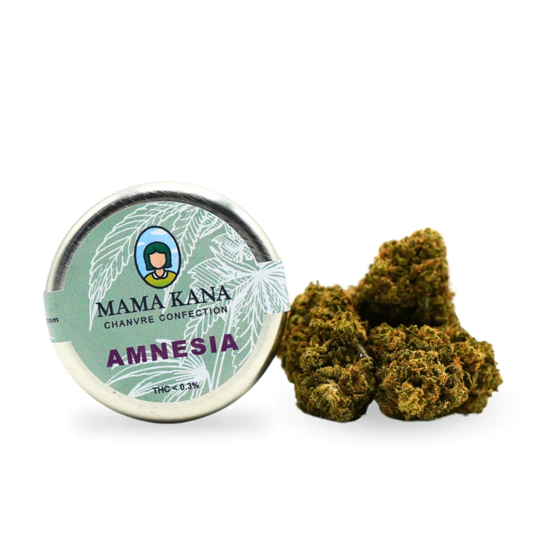 botes 5g - Amnesia [Indoor]