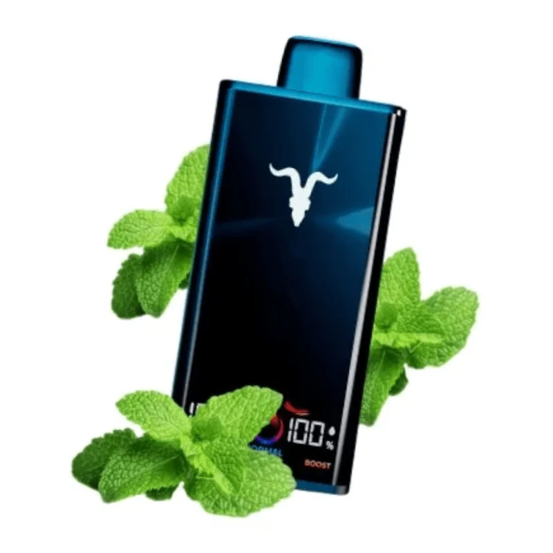 Pod descartable Ignite V300 30000 puffs Menthol