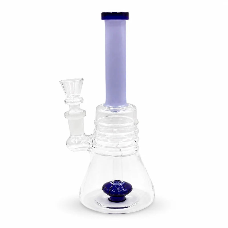 Bong de Vidrio 20 cm con Filtro Interior — Pipa de Agua Borosilicato