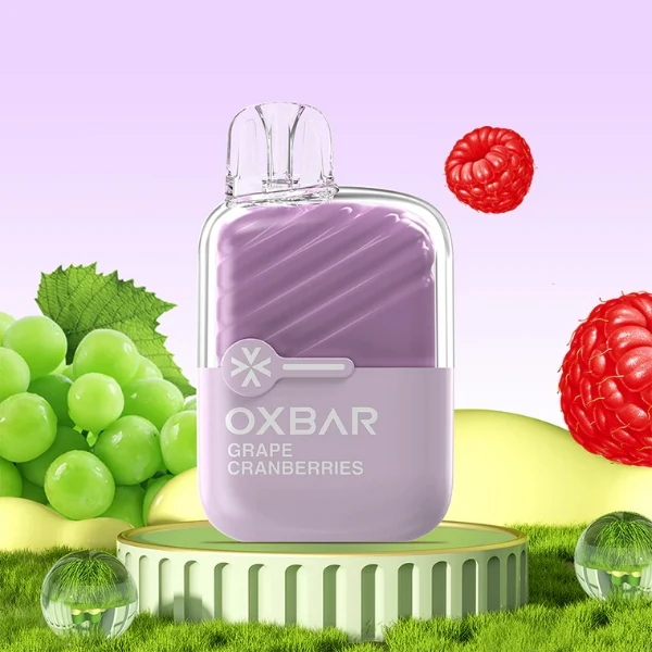 Oxbar Mini 600 Uva y Arándanos rojos