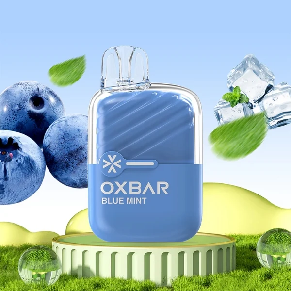 Oxbar Mini 600 Menta y Arándanos