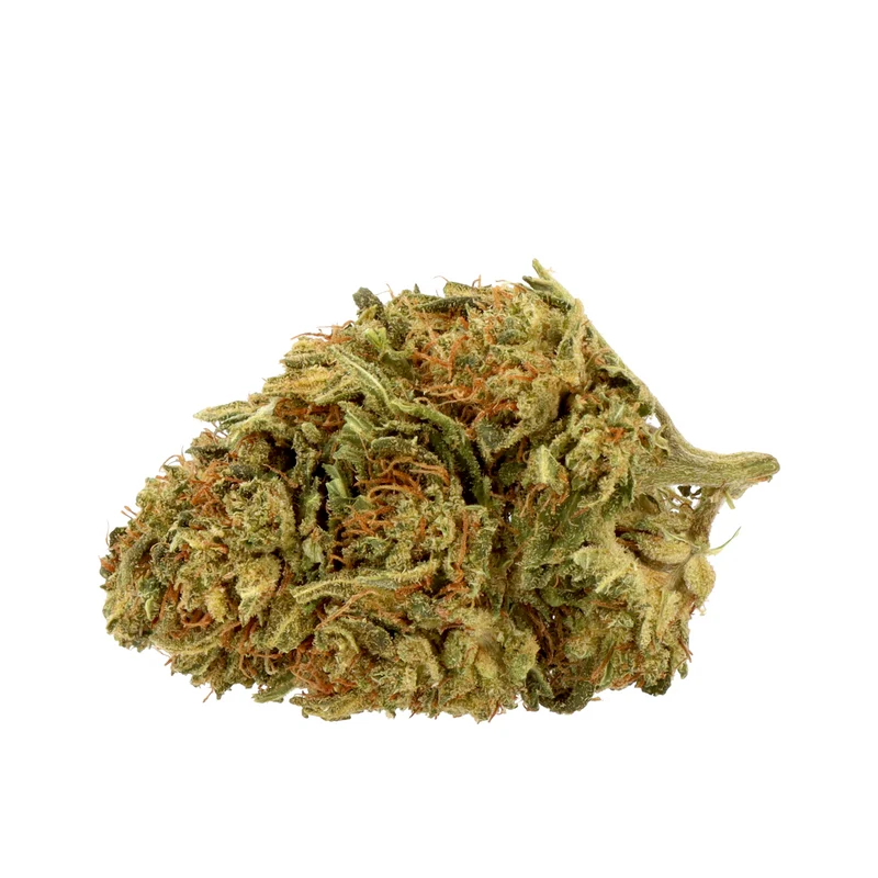 Harlequin CBD