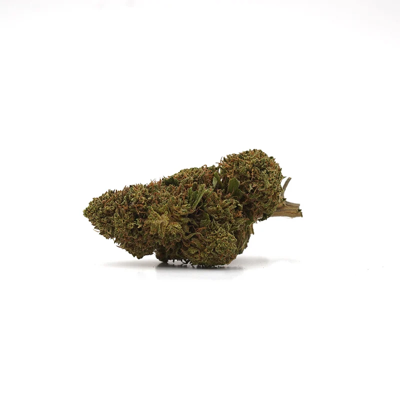 🎁 S Watermelon CBD (100% de descuento)