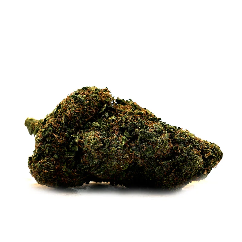 🎁 V1 Super Silver Haze CBD (100% de descuento)