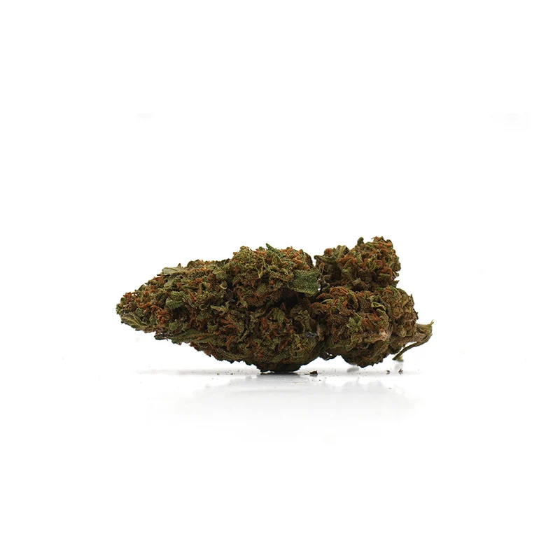 🎁 Fresa CBD (100% descuento)