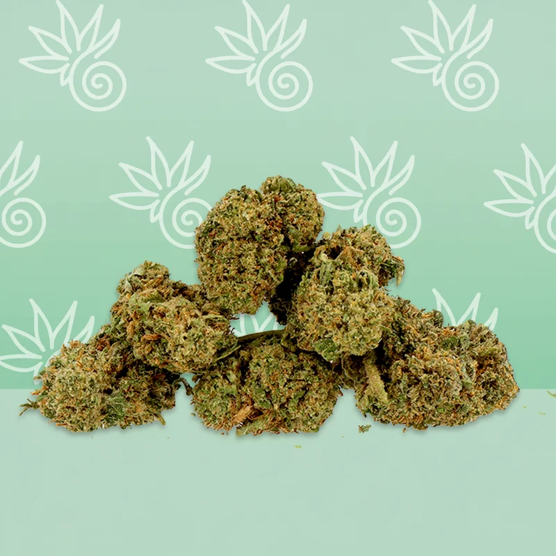 Amnesia CBD Small Buds 🌌.