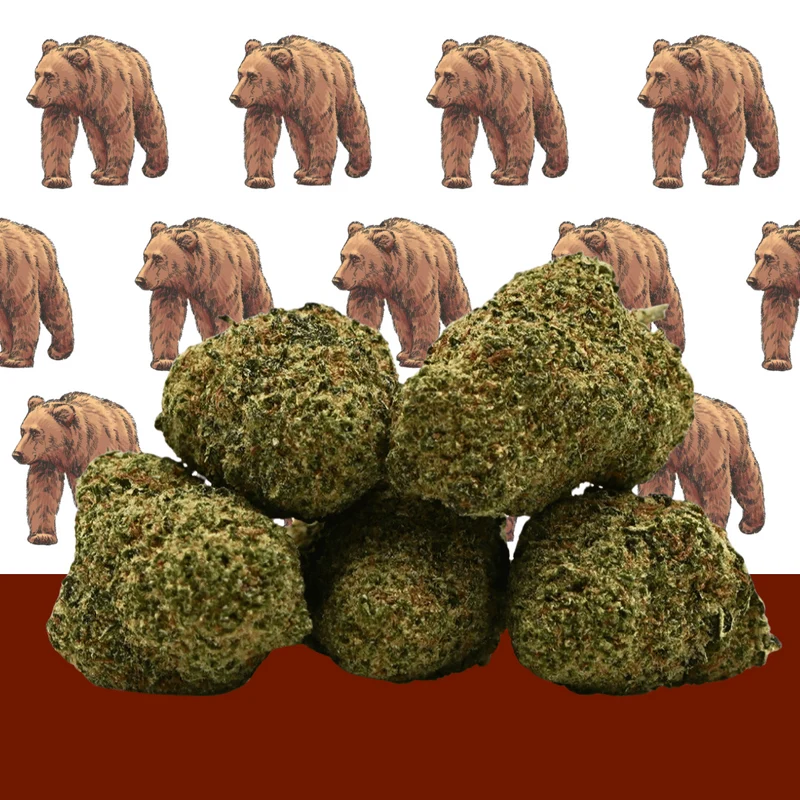 L.A Cali CBD 🐻 [Hidroponía]