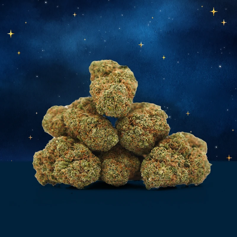Blue Dream CBD 🌌 [Hidroponía]