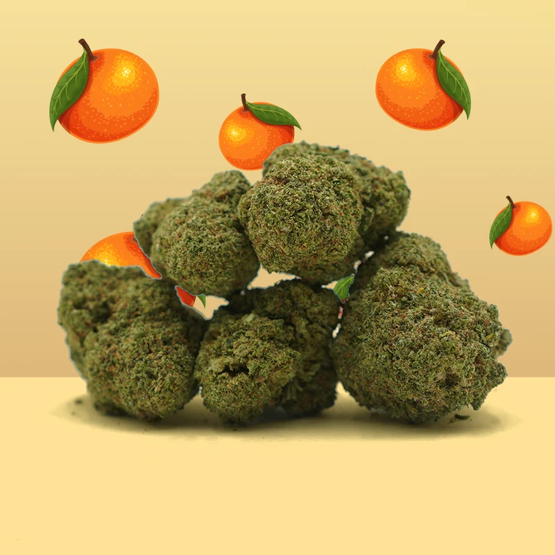 Mandarina CBD ☀️ [Hidroponía]