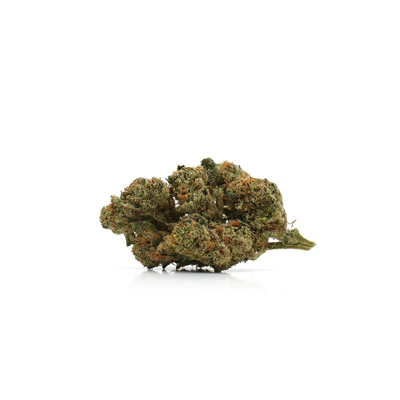 🎁 Plutonio CBD (100% de descuento)