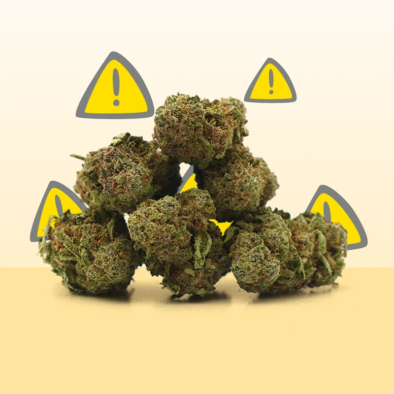 CBD Critical ⚠️ [Indoor]