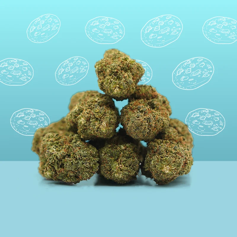 Cookie Kush CBD 🍪 [Indoor]