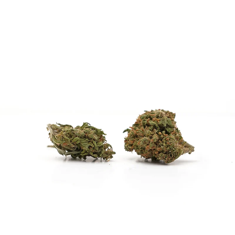 🎁 Petites Têtes Tropical Haze CBD (100% de descuento)