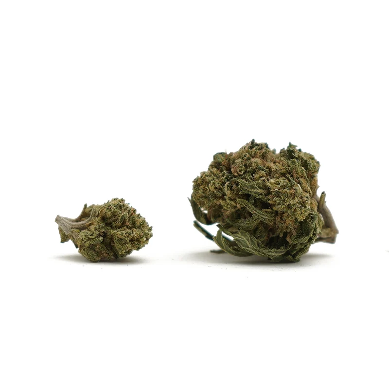 🎁 Small Heads Super Skunk CBD (100% de descuento)