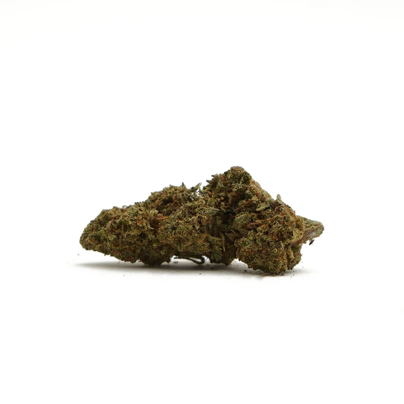 🎁 Pequeñas Cabezas Fresa CBD (100% descuento)