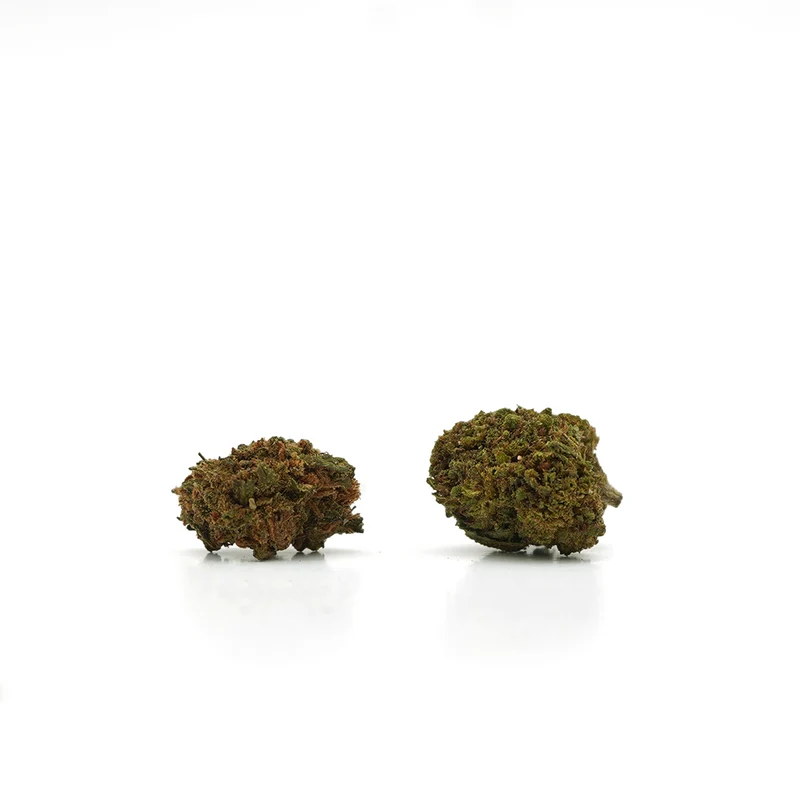 🎁 Petites Têtes Queso CBD (100% de descuento)