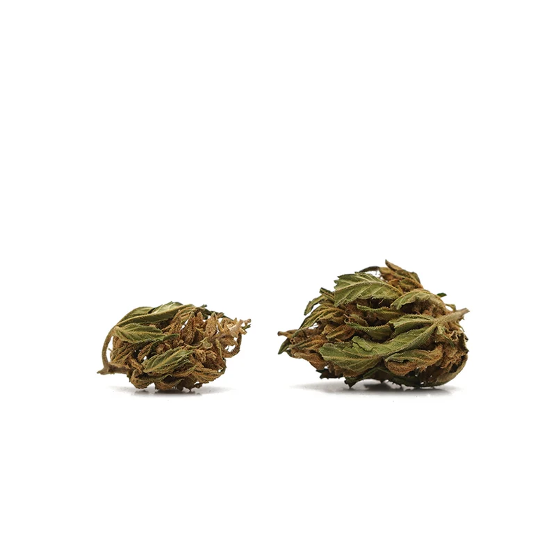 🎁 Cabezas pequeñas Plátano CBG (100% de descuento)