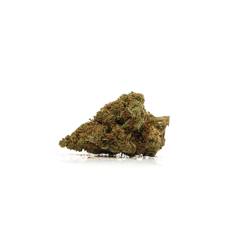 🎁 Orange Bud CBD (100% descuento)