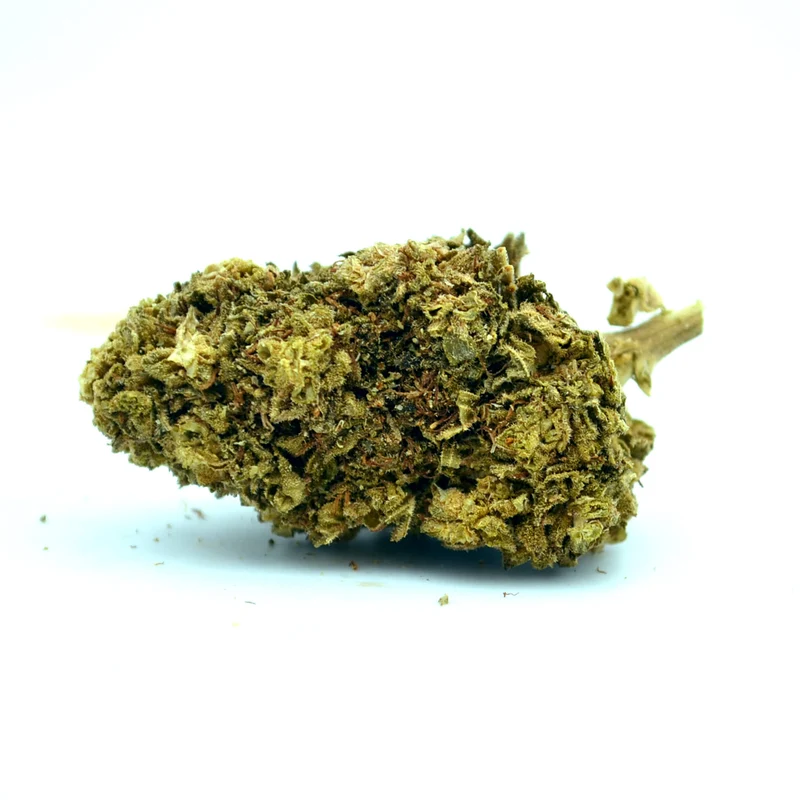🎁 Northern Lights CBD (100% de descuento)