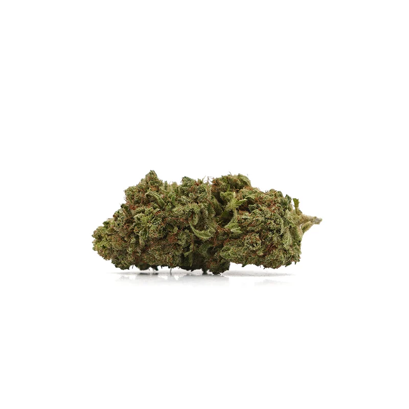 🎁 Mango Haze CBD (100% descuento)