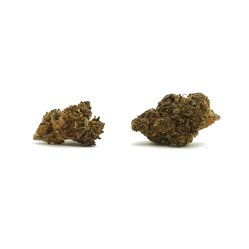 🎁 Little Heads Amnesia CBD (100% de descuento)