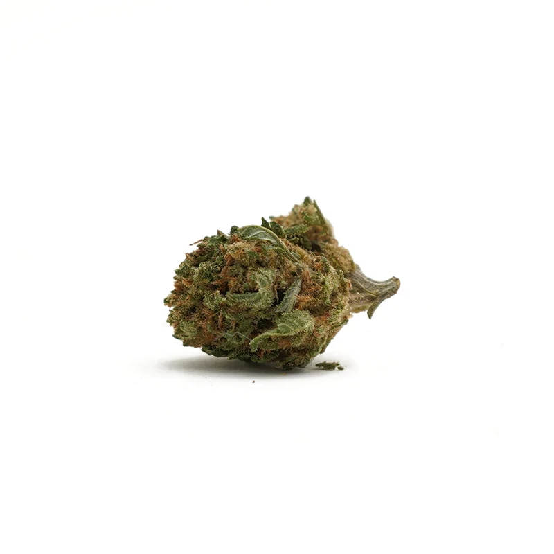 Harlequin CBD