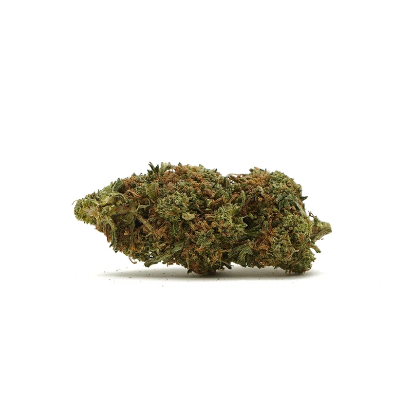 Gorilla Glue